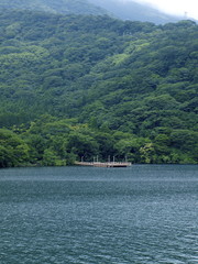 Fototapeta premium Pier with trees