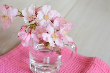 桜の花