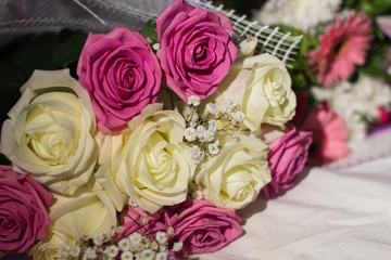 flowers, roses, gerbera
