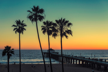 Palm trees at Manhattan Beach. Vintage post processed. Fashion, travel, summer, vacation and...