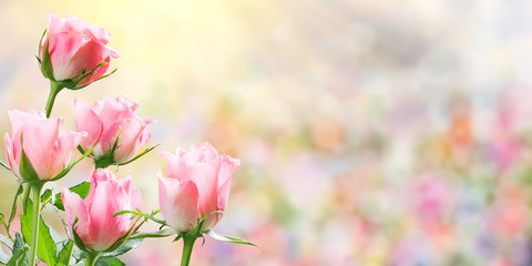 Holiday Nature Floral Background