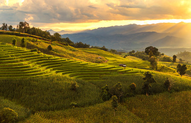 Rice terraces on sunset in Chiang Mai, Thailand.