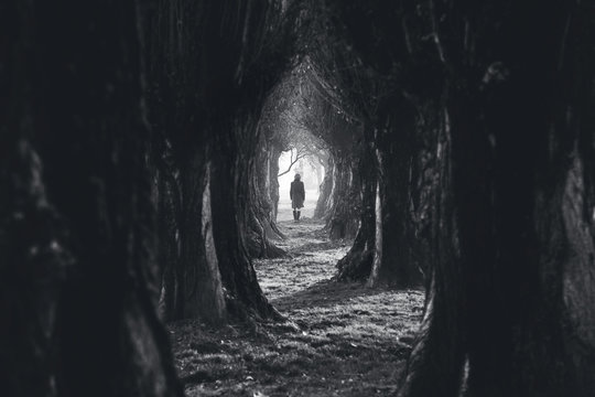 Woman walking in the dark deep forest