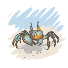 Funny little crab on the beach