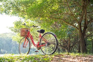 Fototapeta na wymiar red bicycle in green park