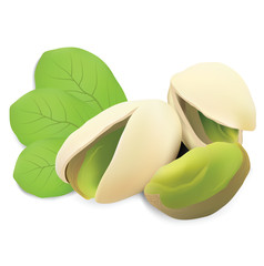 Pistachios for your design