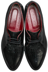 Women clothes isolated on white