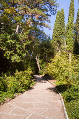 The Nikitsky Botanical garden in Yalta