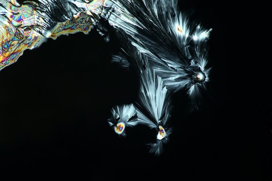 Artistic image of crystals of citric acid. These are synthetic crystals and displayed on a microscope glass slide. Photographed as seen through microscope.