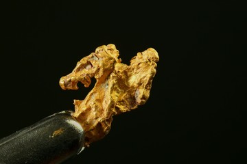 Nugget of gold. This is hand-panned gold from the Lemmenjoki national park in finnish Lapland.
