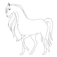 Coloring book: horse