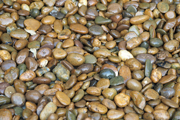 Obraz premium Wet stones pebbles texture background