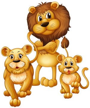 Lion family with one cub