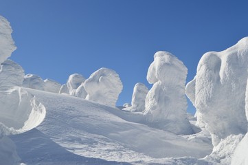 雪山のモンスター