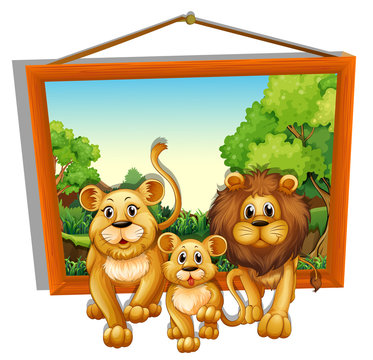 Photo frame of lion family