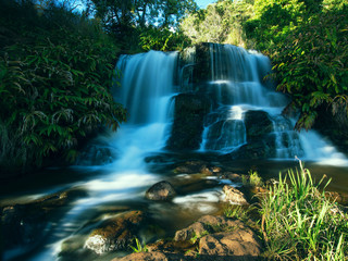 Flusslauf mit kleinem Wasserfall im Waimea Valley, Kauai, Hawai'i