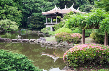 Beautiful japanese park