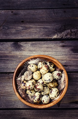 Obraz na płótnie Canvas Quail eggs in a wooden bowl on a gray wooden background.