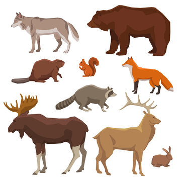 Wild Animal Painted Icon Set
