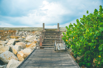 The wood bridge at the sea in the morning.