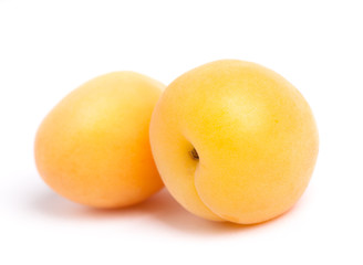 Apricots