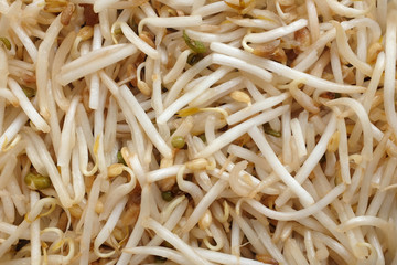Bean sprouts background