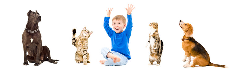Obraz premium Group of a cheerful kid and pets 