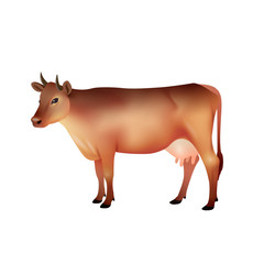 Realistic Brown Cow