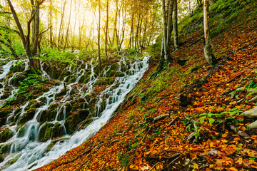 Majestic view of a deep forest waterfall on a sunny autumnal day in Plitvice National Park, Croatia