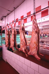 Row of carcasses hanging in a butcher shop