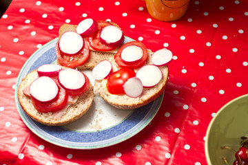 Radish and tomato for a breakfast