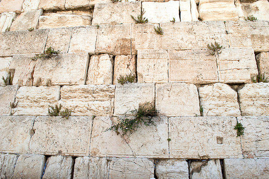 Wall  in Jerusalem