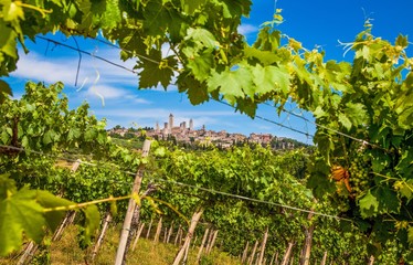 Medieval town of San Gimignano with vineyards, Tuscany, Italy - obrazy, fototapety, plakaty