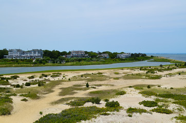 Fototapeta na wymiar Edgartown Shoreline Landscape
