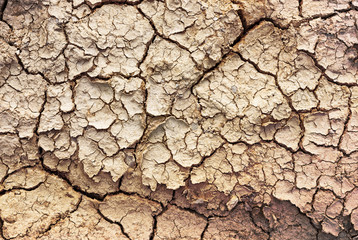 Fototapeta premium Cracked soil texture