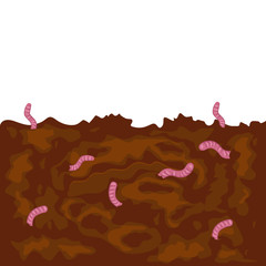 pink worms in the ground