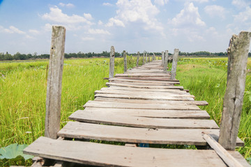 Obraz premium Bridge wood