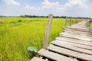 Bridge wood