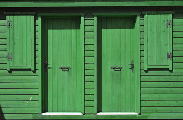 Green main facade of a wooden rustic house
