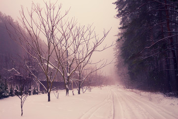 Rural winter snowy landscape
