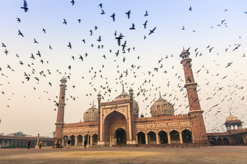 Jama Masjid, Old Delhi, India - obrazy, fototapety, plakaty
