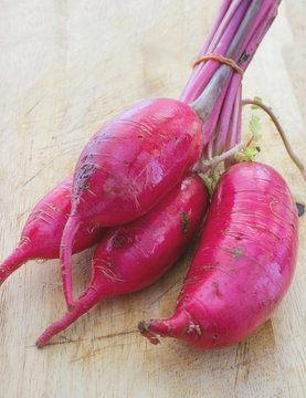 Purple Radish