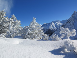 Fototapeta na wymiar Winterlandschaft in den Alpen