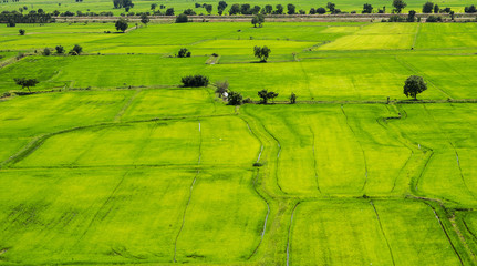 Naklejka premium Aerial view of a green rural area under blue sky