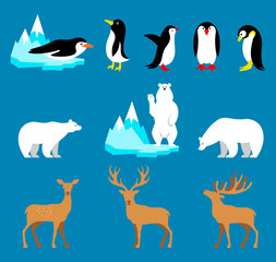 Vector set Arctic and Antarctic animals. Penguin, polar bear, reindeer. 