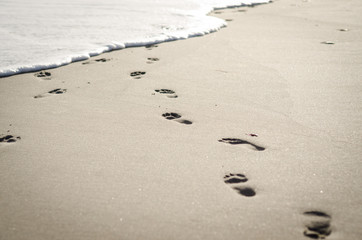 Fototapeta na wymiar Footsteps on wet sand