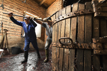 farmers making wine of grape  in traditional winepress  in  Villarejo de Orbigo, Leon, Spain ; slow...