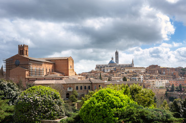 Fototapeta na wymiar Cityscape of Siena. Tuscany, Italy