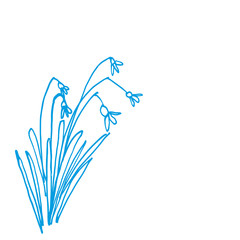 Handzeichnung Schneeglöckchen 