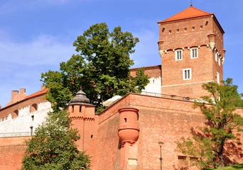 Cercles muraux Cracovie Krakau - Wawelturm